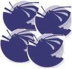 How to: Setup Multiple Virtual Hosts in WAMP Server