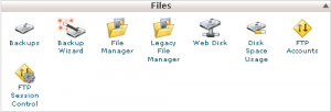 Taking Backup of your Website and WordPress Blog