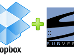 How to use Dropbox as an SVN repository