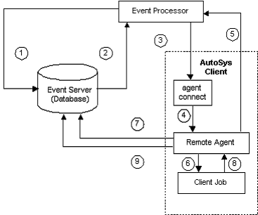 functional-diagram-autosys