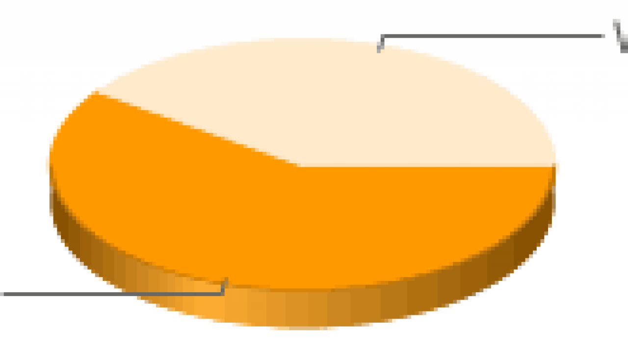 How To Create Dynamic Pie Chart In Jsp